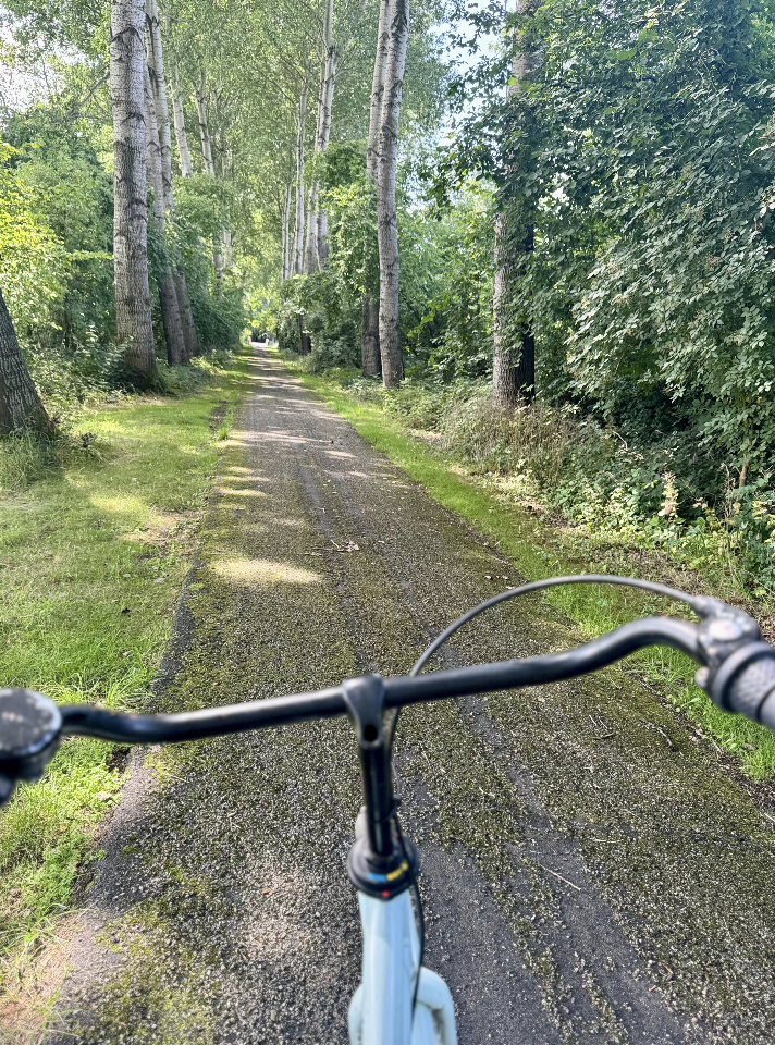 Hey everyone, it’s great to be back!